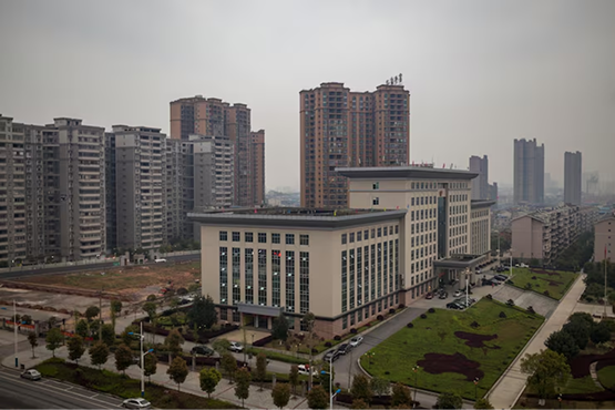 Content Marketing in Lucknow