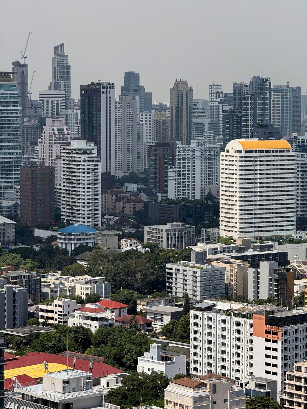 Android App Development in Kolkata